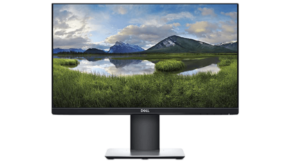 Dell P2219H 22